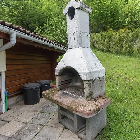 In Near Forest & La Bresse