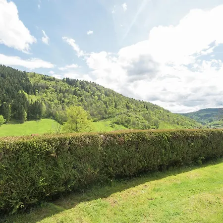 In Near Forest & La Bresse