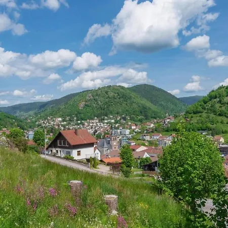Dağ evi In Near Forest & La Bresse