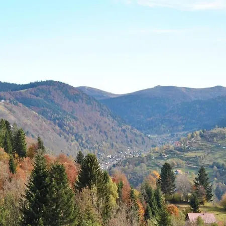 In Near Forest & Dağ evi La Bresse